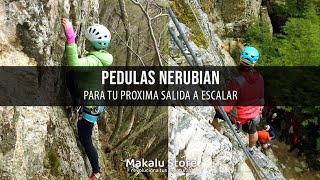 PROGRAMA 10  PEDULAS NERUBIAN [upl. by Kreiner451]