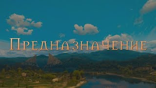 The Witcher Что такое ПРЕДНАЗНАЧЕНИЕ [upl. by Roana]