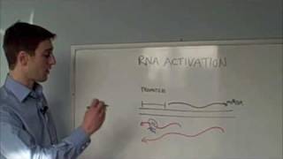 Now Showing RNA Activation [upl. by Spooner]