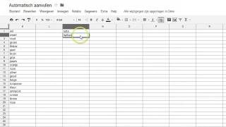 Automatisch aanvullen [upl. by Hapte]