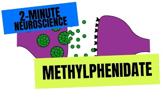 2Minute Neuroscience Methylphenidate [upl. by Evoy]