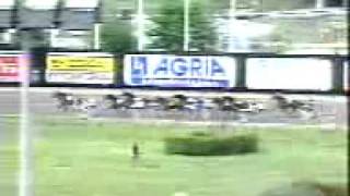 Elitloppet 1993 Sea Cove [upl. by Osric]