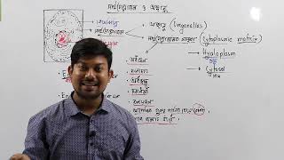 43 সাইটোপ্লাজমিক মাতৃকা। Cytoplasmic matrix Cytosol Hyaloplasm [upl. by Dahsraf288]