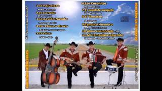 9 Tampico Hermoso  Norteños de Rio Bravo [upl. by Ahseral312]