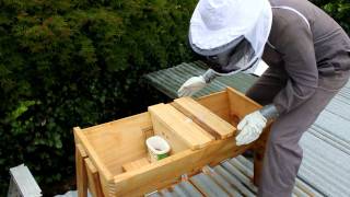 How to feed your bees and treat for Varroa in a Top Bar Hive [upl. by Bergeron81]