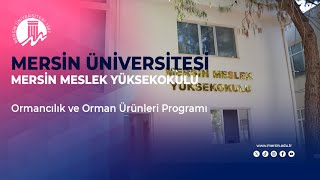 Mersin Üniversitesi  Mersin Meslek Yüksekokulu Uzaktan Öğretim – Ormancılık ve Orman Ürün Prog [upl. by Nnylirehs688]