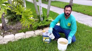 Palm Tree Fertilizer NaturePest 7862227069 [upl. by Lira]