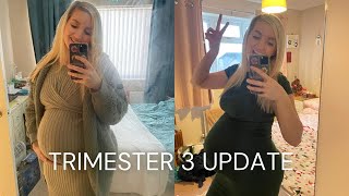 TRIMESTER 3 UPDATE Last Pregnancy Update [upl. by Tram]