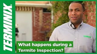 Protect Home From Termites  Termite Inspection Facts  Terminix [upl. by Gothar]