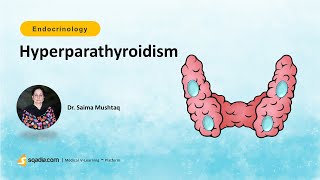 Hyperparathyroidism  Endocrinology  Pathophysiology  Medicine Lecture  VLearning™ [upl. by Aztirak249]