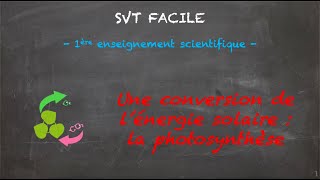 SVT FACILE  1ère ens sci  Une conversion de lénergie solaire  la photosynthèse [upl. by Kemeny227]