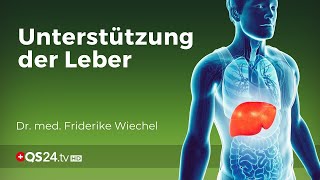 Leberunterstützung im Alltag  Dr med Wiechel  QS24 [upl. by Elsy291]