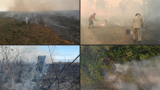 Mudança climática abriu caminho para incêndios recordes no Pantanal brasileiro  AFP [upl. by Randolph996]