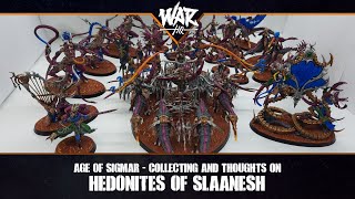 Age of Sigmar Hedonites of Slaanesh Collecting and thoughts  Part 2 [upl. by Zabrina614]