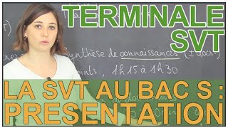 Lépreuve de SVT au bac S  présentation générale  SVT  Terminale  Les Bons Profs [upl. by Brynna816]