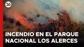 ARGENTINA  Un 70 de las hectáreas quemadas en Chubut son del Parque Nacional Los Alerces [upl. by Naul]