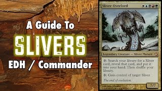 MTG  A Study In Slivers  A Guide To EDH  Commander Sliver Decks in Magic The Gathering [upl. by Selrahcnhoj]