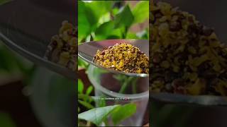 Best Fertilizer for Seedlings amp Small plants youtubeshorts shortvideo shorts fertilizer [upl. by Terrel]