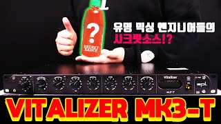 유명 믹싱 맛집들이 몰래쓴다는 MSG SPL Vitalizer MK3T 리뷰입니다 [upl. by Atiuqiram]