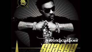 Shaggy Ft Akon  Whats Love [upl. by Giffard]