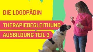 Teil 3 Therapiebegleithund Ausbildung [upl. by Steiner]