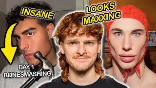 LooksMaxxing TikToks WORST Alpha Male Trend  Video Essay [upl. by Nwahsirhc]