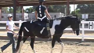 Hippotherapy Ride Along Visualizing How Equine Movement Benefits Clients [upl. by Assenab]