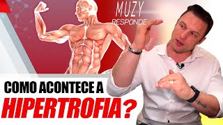 COMO ACONTECE A HIPERTROFIA MUSCULAR  MUZY RESPONDE [upl. by Aicenad929]