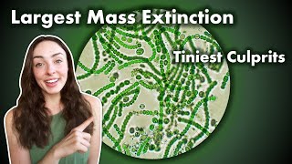 The Time Bacteria Caused The Largest Extinction Event Ever GEO GIRL [upl. by May]