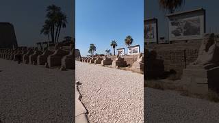 Avenue of Sphinxes Luxor temple Egypt [upl. by Anna-Diana123]