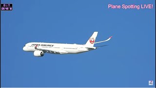 伊丹空港！Plane Spotting LIVE Osaka International Airport 02202024 [upl. by Annabella524]