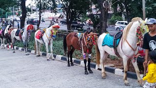 KUDA DELMAN 🎯 Pangkalan kuda tunggang bkt cipinang indah  horse  horseback  ridding a horse [upl. by Higinbotham632]