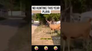 Funny Deer Voiceover [upl. by Ilrak35]