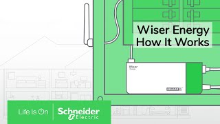 How It Works  Wiser Energy Home Energy Monitor  Schneider Electric [upl. by Tat]