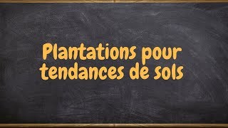 Plantations pour tendances de sols [upl. by Checani]