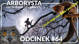 Odcinek 64  Arborysta drwal 🪓 czy lekarz 🩺 [upl. by Danae500]