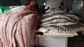 Passeio na Feira e Mercadão de Peixe Santarém Pará [upl. by Eetnod]