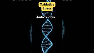 Oxidative Stress [upl. by Airot]