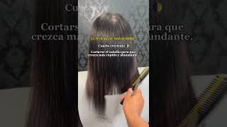 CALENDARIO LUNAR NOVIEMBRE 2023  que días cortar tu cabello para que crezca más Rapido haircut [upl. by Fernas]