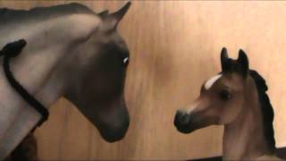 Breyer Horse Movie The Babysitter [upl. by Yanetruoc757]