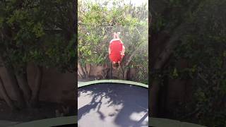 How many flips can I land in a row ninja parkour trampoline [upl. by Alistair]