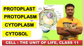 PROTOPLAST PROTOPLASM CYTOPLASM CYTOSOL  CELL THE UNIT OF LIFE Class 11  NCERT Biology  NEET [upl. by Arais413]