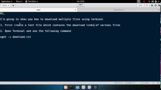 Download multiple files using terminal [upl. by Tahp810]