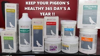 IMPORTED PIGEON PRODUCTS FOR PIGEON HEALTH  कबूतर के लिए हेल्थ प्रोडक्ट्स  8882859215 [upl. by Yerfej]