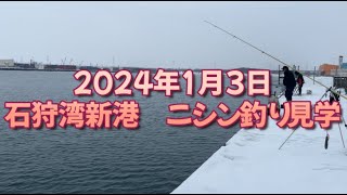 石狩湾新港ニシン釣り状況修正再アップ版） [upl. by Reiter]