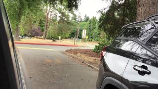 2019 Bluebird All American REs in Mercer Island WA [upl. by Lalad]