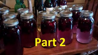 How To Make Easy Homemade WinePart 2 Making Blackberry Wine [upl. by Riannon]