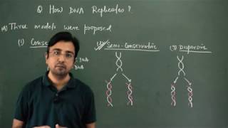 Different Models for DNA Replication [upl. by Yellehs]