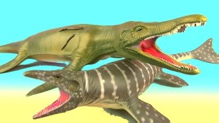 Dinosaur Fight MOSASAURUS vs PLIOSAURUS Reptiles Battle Jurassic SuperFunReviews [upl. by Redla519]