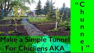 DIY Chicken Tunnel AKA quotCHUNNELquot [upl. by Eserehc]